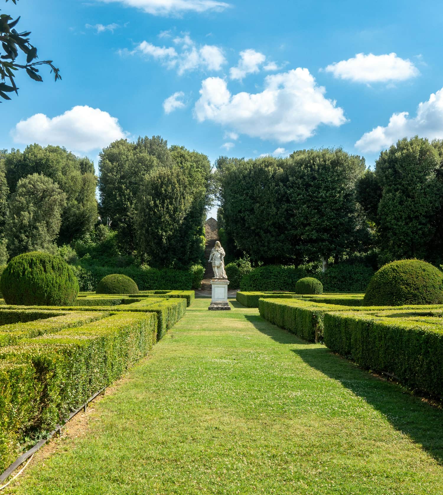 Curved garden path through a planted landscape