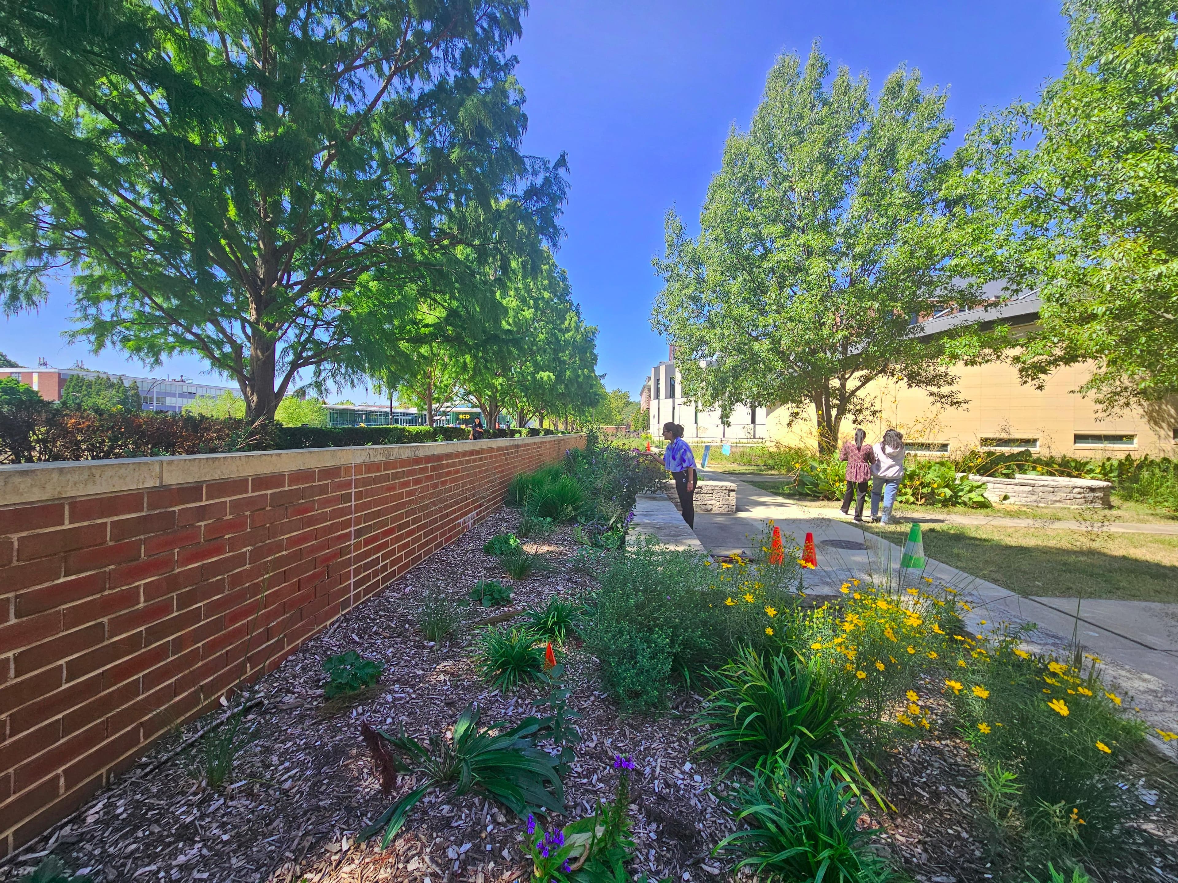 Butterfly Garden Hero Image
