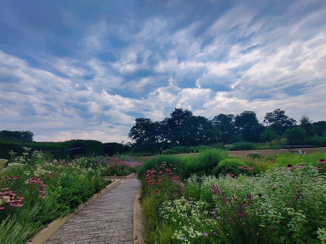 Low-maintenance residential landscape with layered planting and structured garden lines